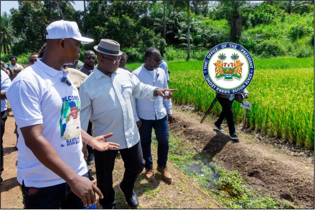 World Bank provides $18.3 million to improve Sierra Leone’s climate and biodiversity resilience